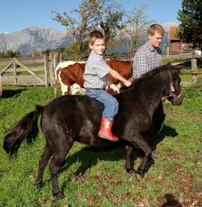 schmiderer-vorderkasbichl-pony-reiten-cFotoBauer
