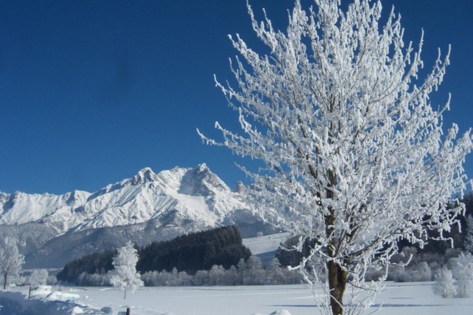schmiderer-vorderkasbichl-winter